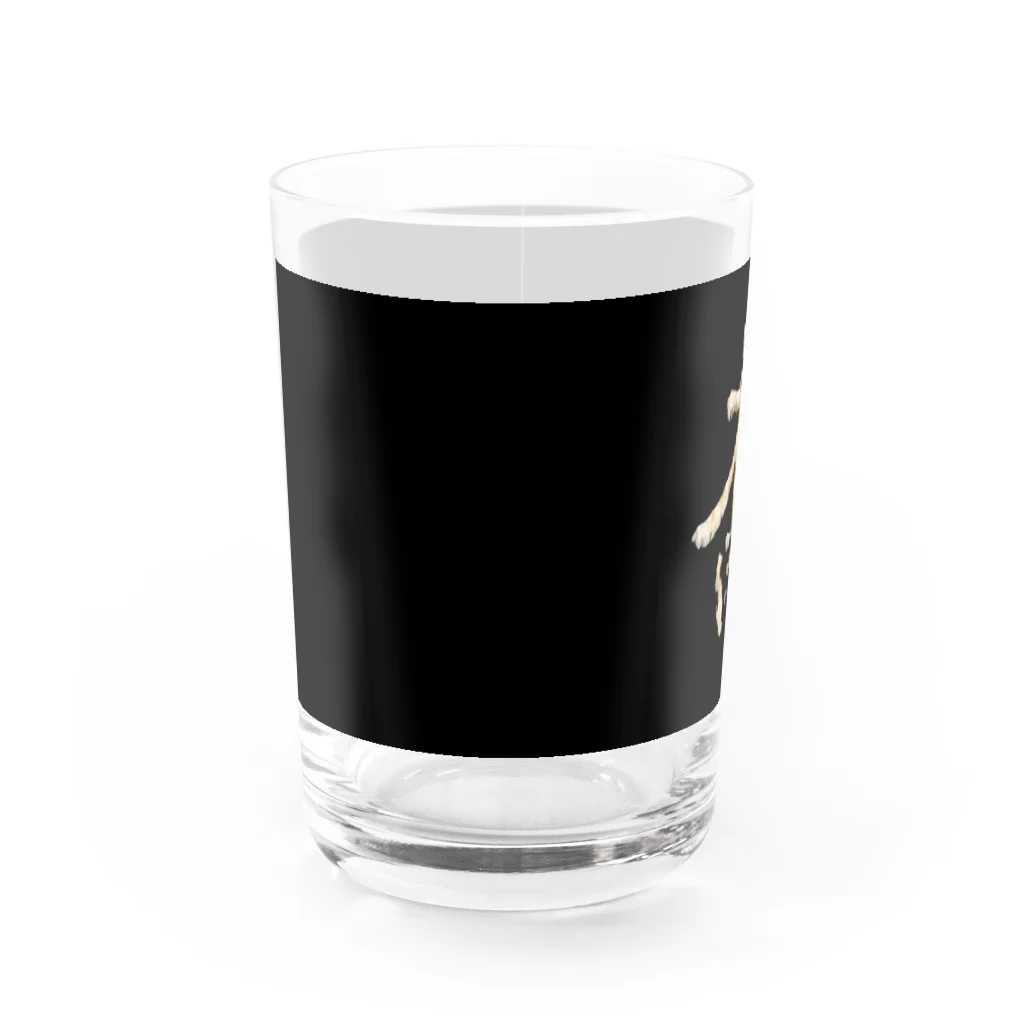 Rigelの陣羽織 黒鳥毛「太白」文字模様柄 Water Glass :front