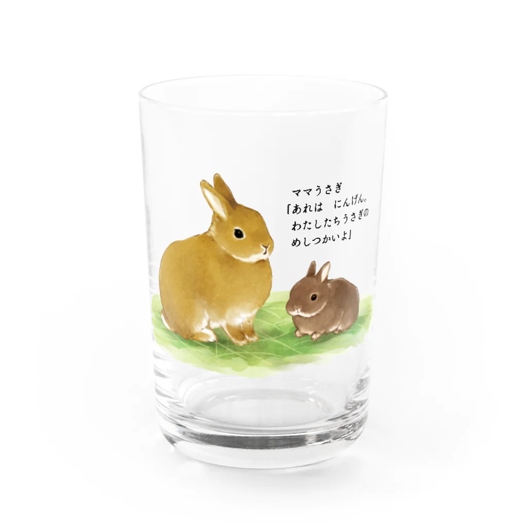 うさぎ 🐰品種:ネザーランドドワーフ 🔍現体重:1.1kg ⭐️性別:男の子