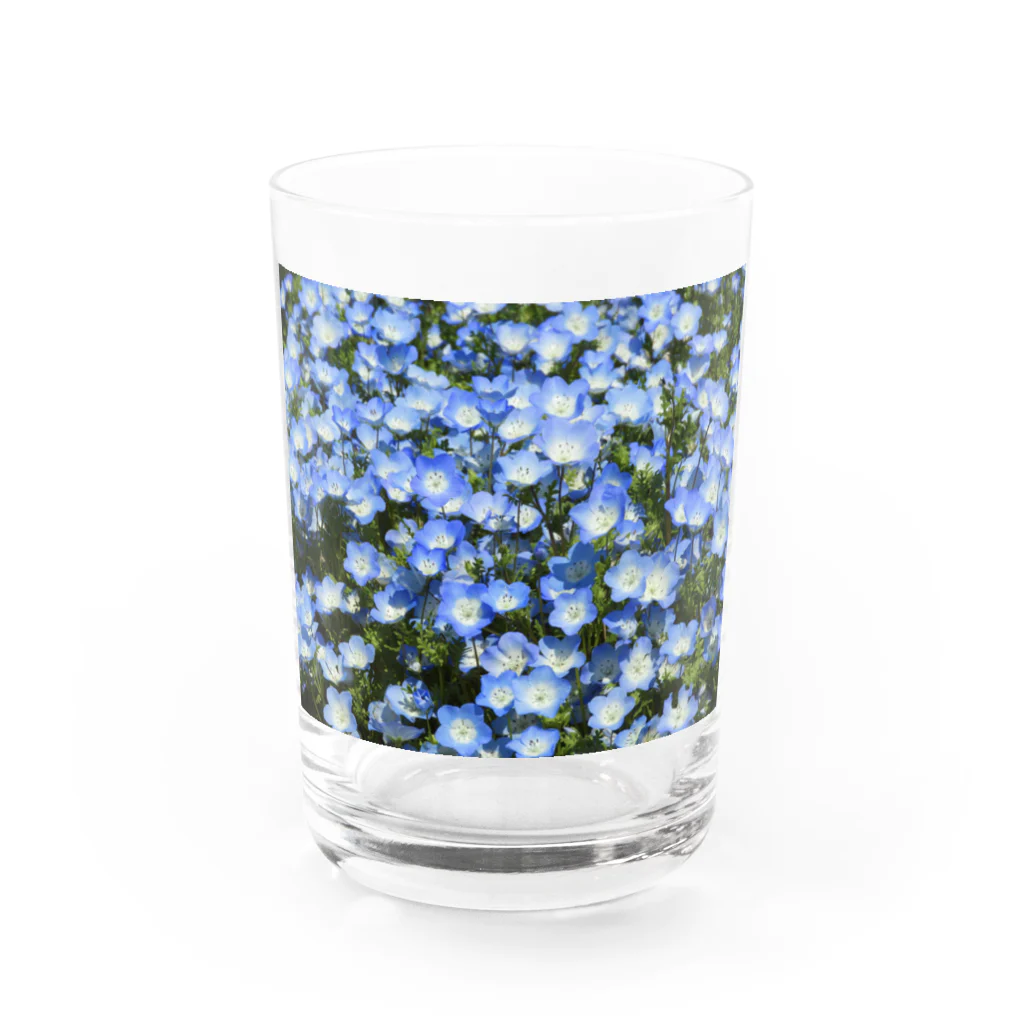 ☁️のネモフィラ Water Glass :front