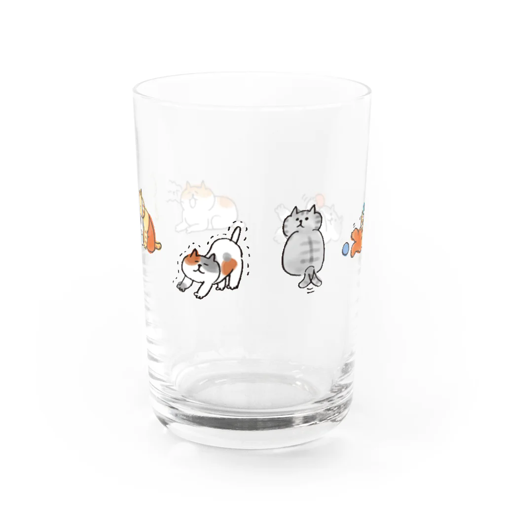 ごろごろにゃんすけのねこらしいにゃんすけ Water Glass :front