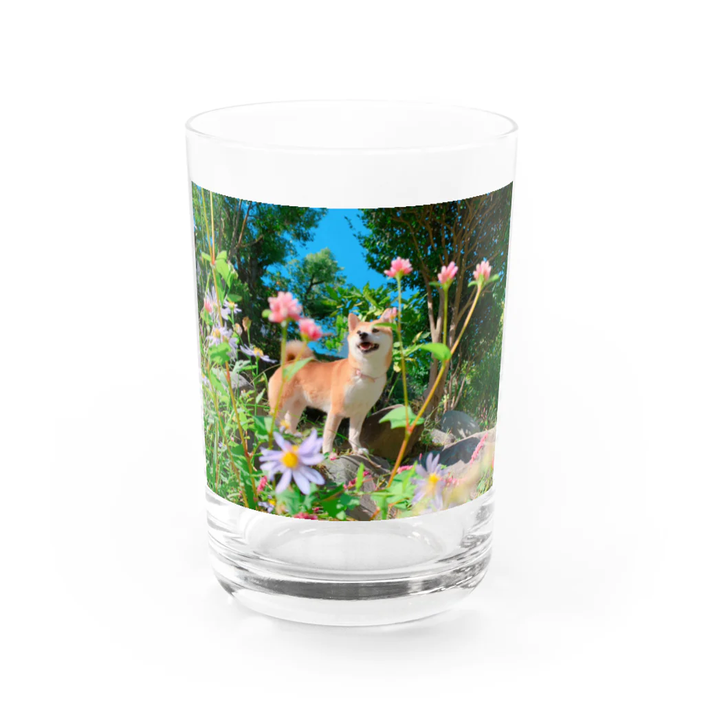 ももと天空の月のもも☆お花のセンター Water Glass :front