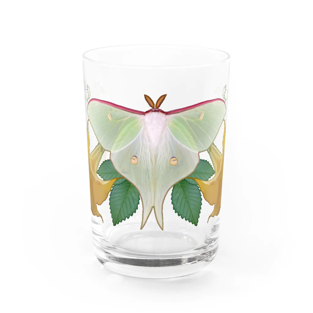 ニムニムのお部屋の大きな蛾 Water Glass :front