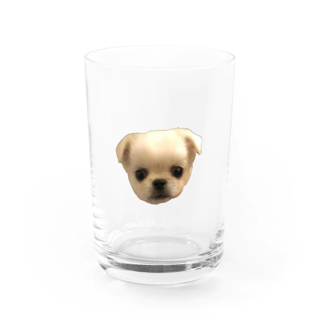 四本足のお友達の四本足のお友達 Water Glass :front
