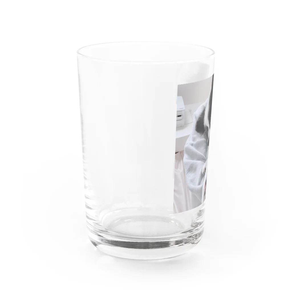 あるちゃんさん屋さんのかわいい肉球 Water Glass :left