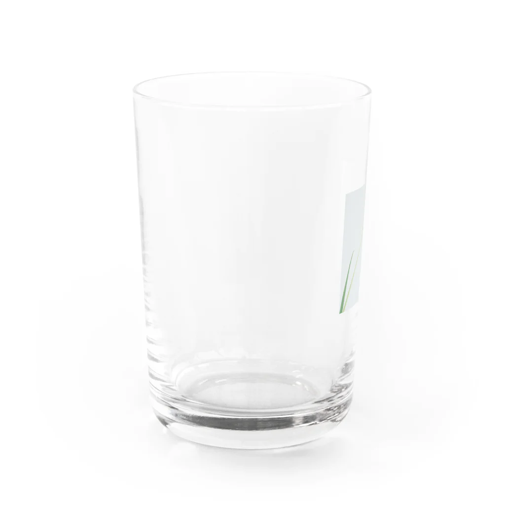 min P/Mのflower_001 Water Glass :left