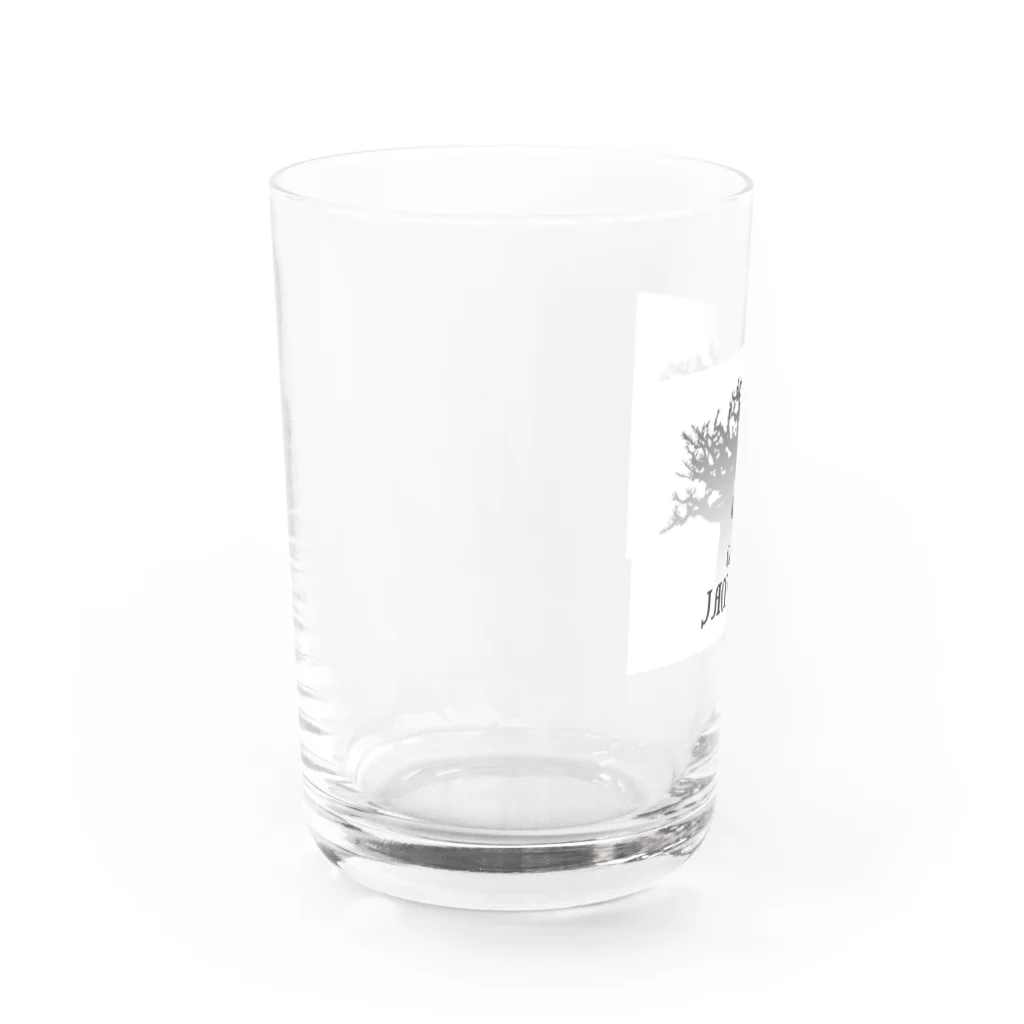 ☺︎꒡̈⃝⌄̈⃝¨̮のCafe Jamaica Water Glass :left