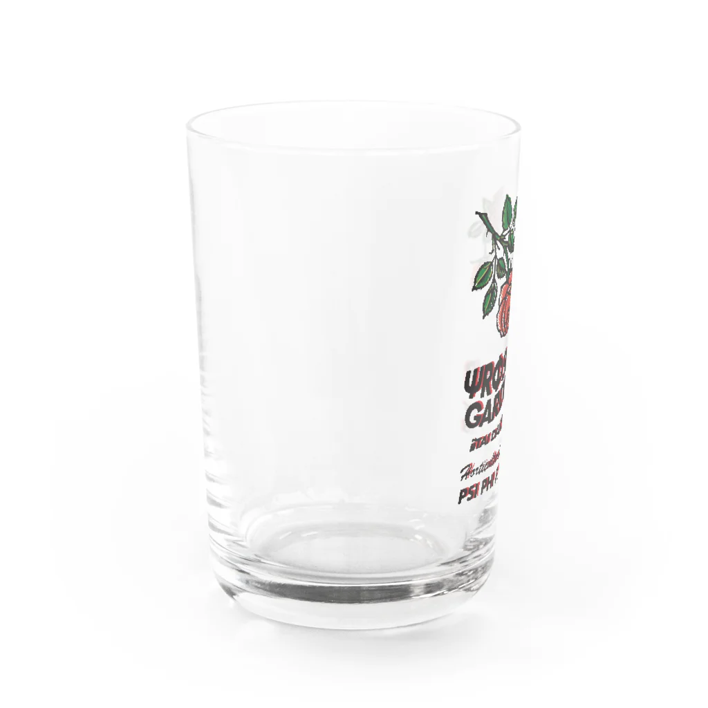 Samurai Gardenサムライガーデンのvintage RGX Water Glass :left