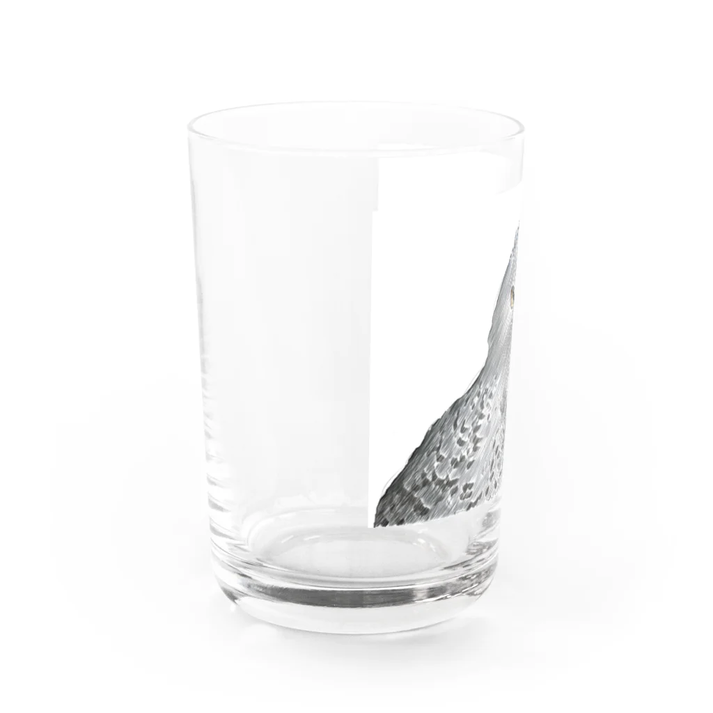 静かな山の頂へのフクロウ Water Glass :left