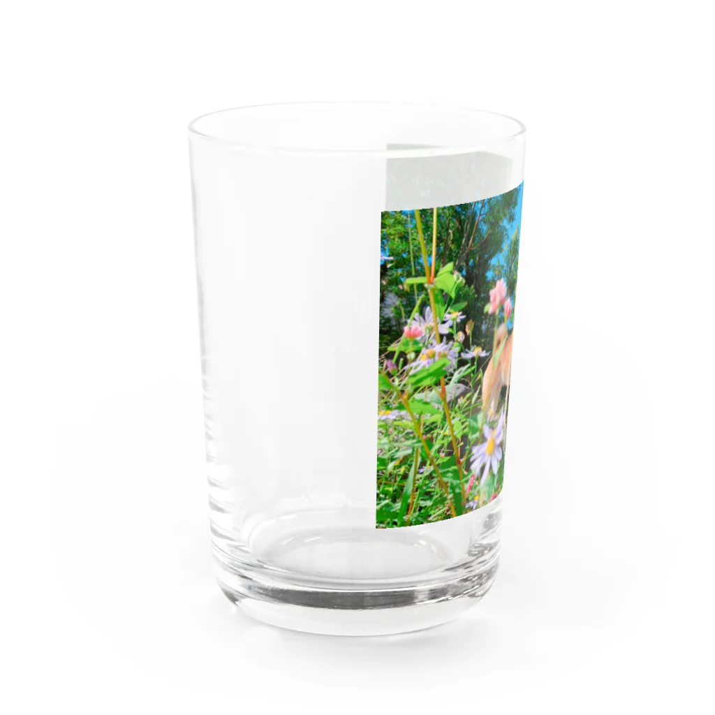 ももと天空の月のもも☆お花のセンター Water Glass :left