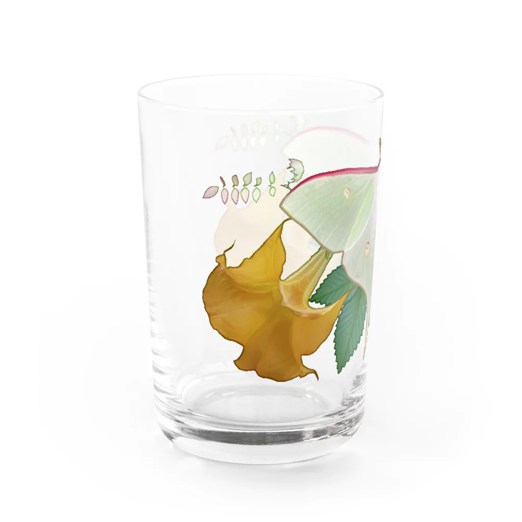 ニムニムのお部屋の大きな蛾 Water Glass :left