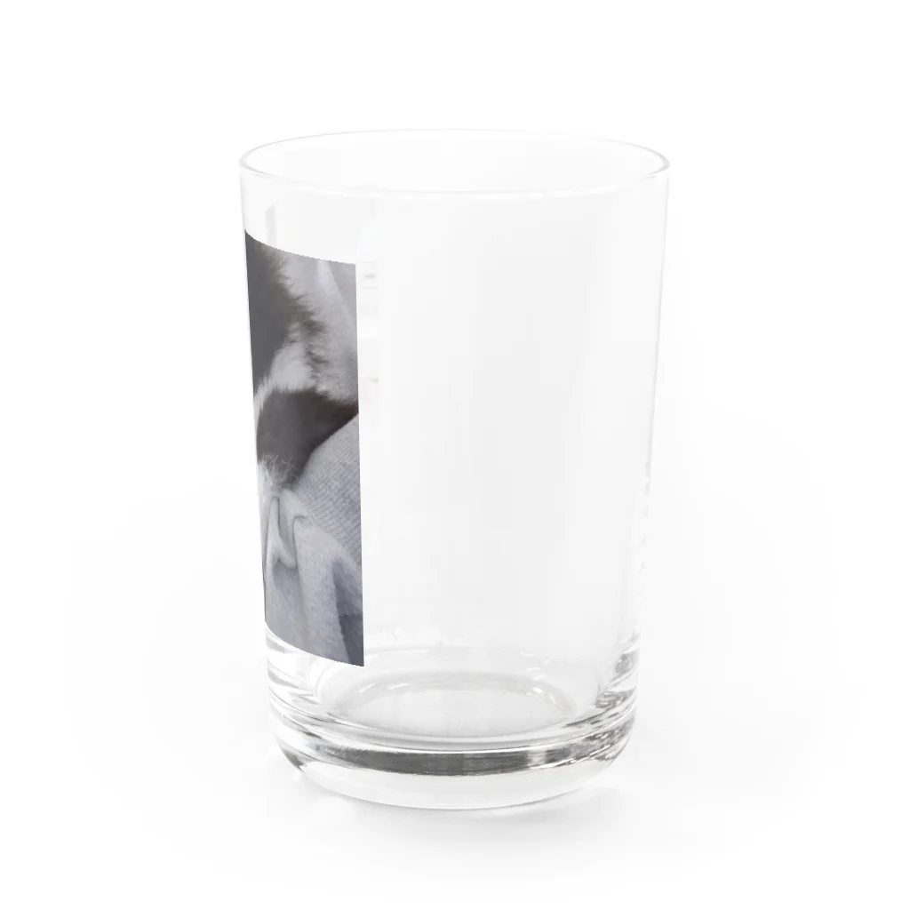 あるちゃんさん屋さんのかわいい肉球 Water Glass :right