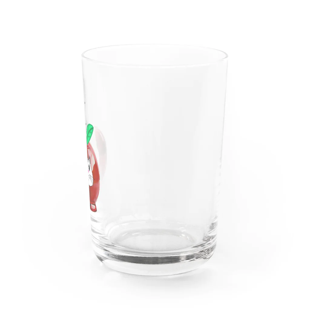 Lovecatfashionのモチ猫ちゃんりんご飴 Water Glass :right