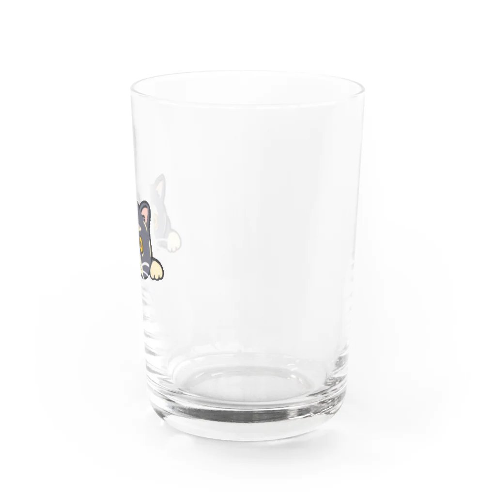 WORLD1グッズショップののぞきねこちゃん Water Glass :right