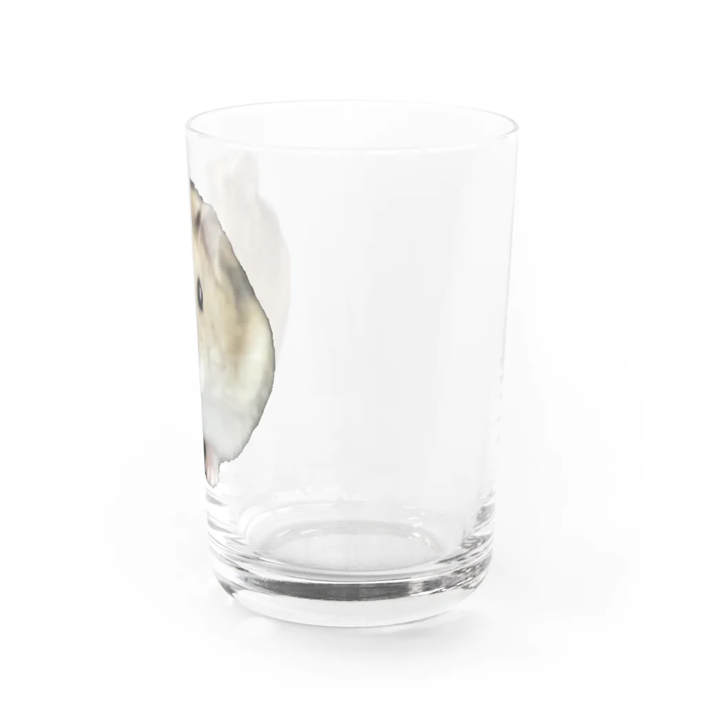cozaoのたーさん Water Glass :right