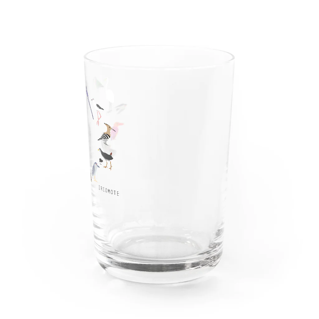 しまのなかまfromIRIOMOTEのしまのなかまスピンオフ『トリース』 （増量）文字が IRIOMOTEのみ Water Glass :right