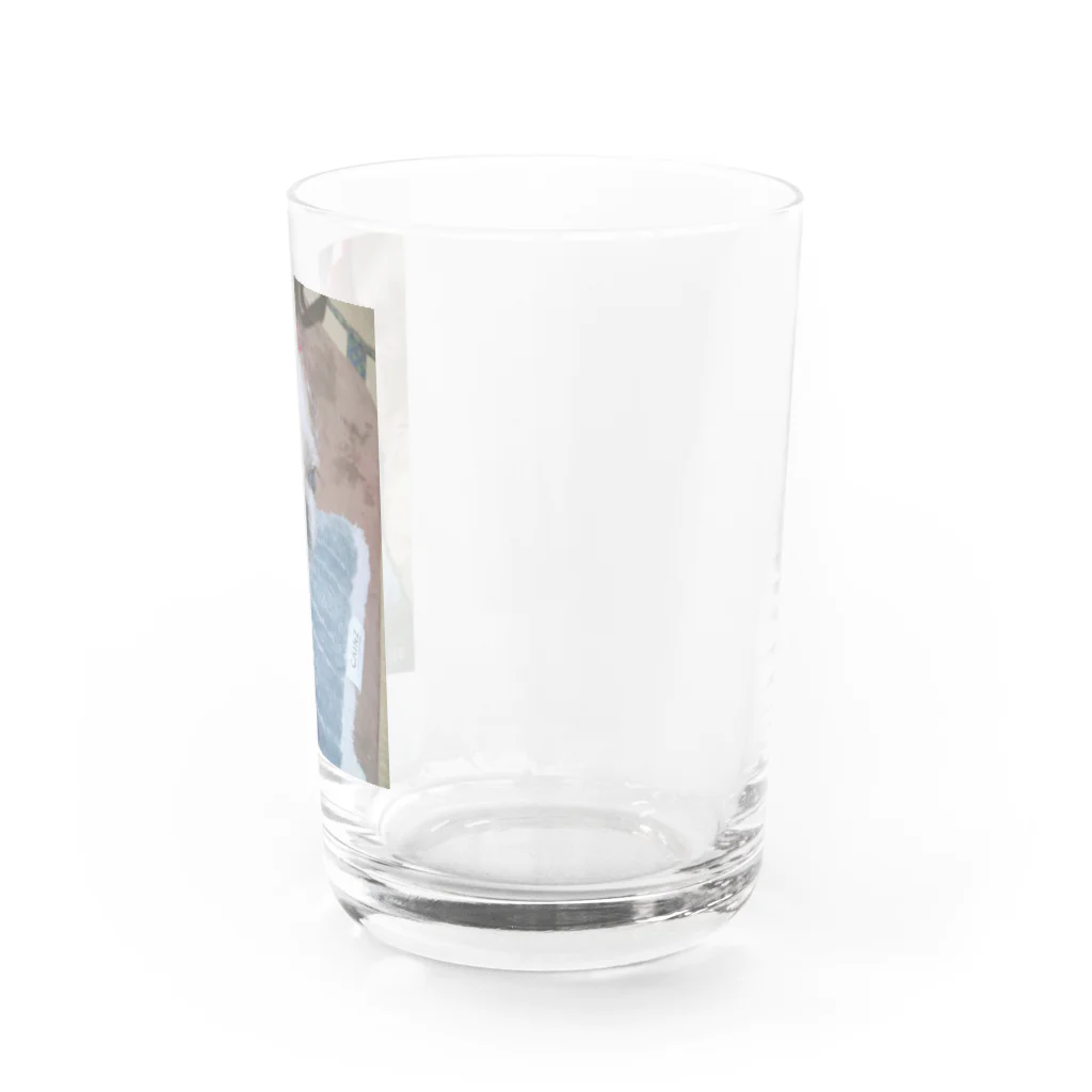 Chigu:ℓσνє♡の可愛いランちゃん Water Glass :right
