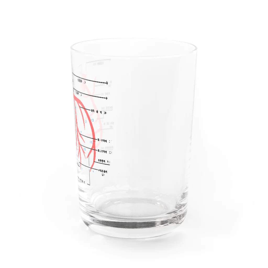 ゆんちるのとにかく冠動脈 Water Glass :right