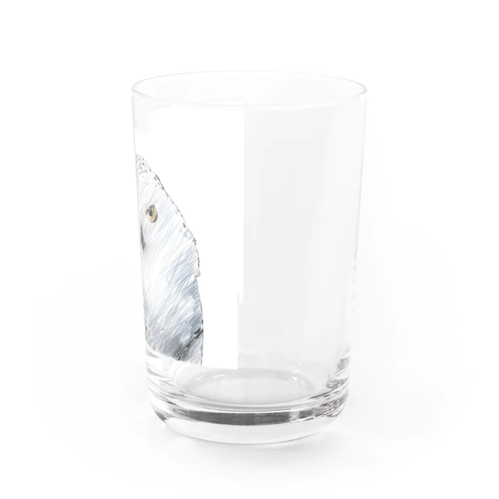 静かな山の頂へのフクロウ Water Glass :right