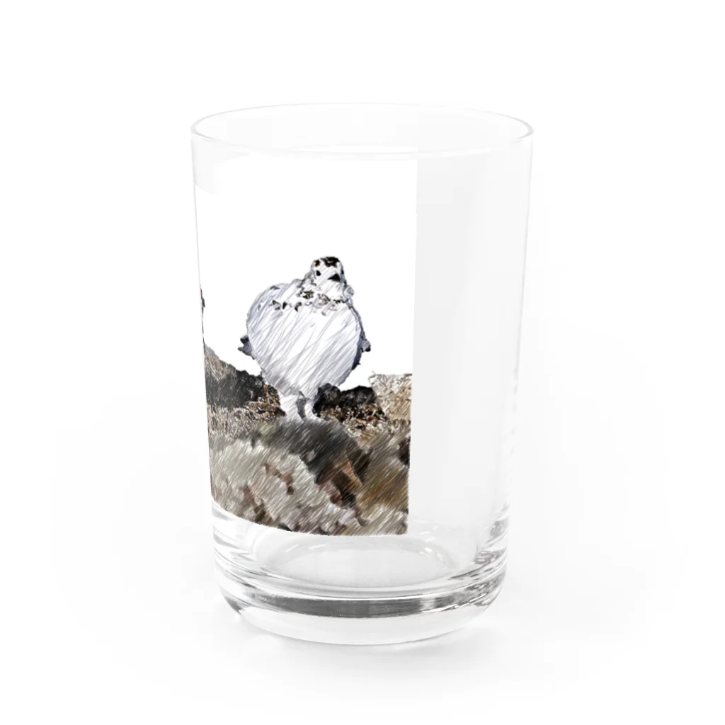 静かな山の頂への雷鳥のカップル Water Glass :right
