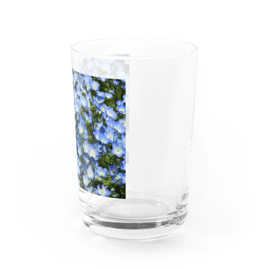 ☁️のネモフィラ Water Glass :right
