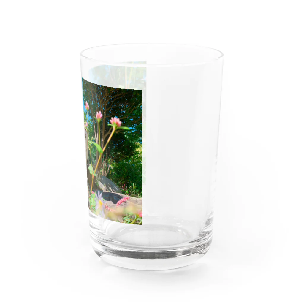 ももと天空の月のもも☆お花のセンター Water Glass :right