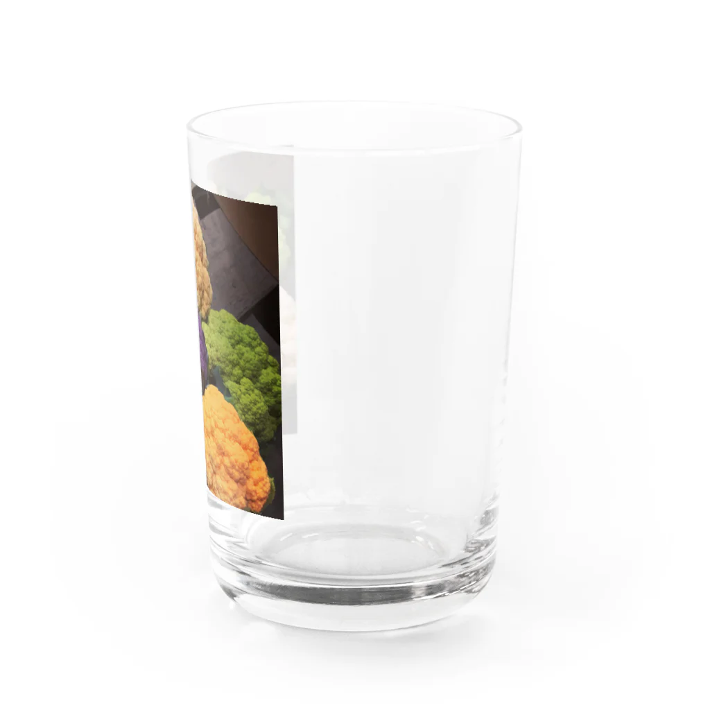 淡路島の風景のカリフラワー色々 Water Glass :right