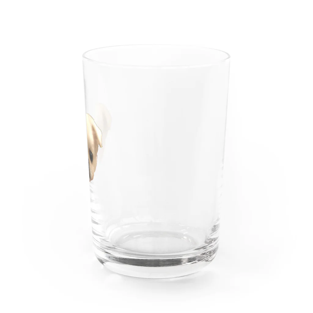 四本足のお友達の四本足のお友達 Water Glass :right