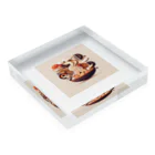 REOの1960s Udon Acrylic Block :placed flat
