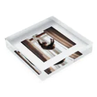 takeoutのカーテンにつかまっているネコ Acrylic Block :placed flat