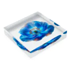アップルの店の青いケシ。ヒマラヤに咲く幻の花。 Acrylic Block :placed flat