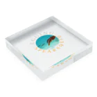 Yanjiisのエギング　釣り　ヤリイカ　 Acrylic Block :placed flat
