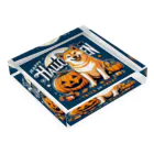 Naoki21のDOG x HALLOWEEN 03🟦(濃色用) Acrylic Block :placed flat