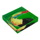 KANJI shop japanのKANJI 5 Acrylic Block :placed flat