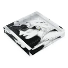 00 2024 2023 2022 WORLD TOP NEWS most famous person NFT ART Most Expensive Art 2022 FREE MOVIE FASHION APPAREL BRAND AI VR ONLINE DESIGN modern art ©Shnizellz official Shion.Inc エルシオン 現代アート オンライン通販ファッションブランド  2022 世界トップフォトグラファー world top photographerの00 2056 2025 WORLD TOP NEWS #非公開 #限定 #美女モデル #人気ユーチューバーランキング #絵画ランキング #招待制ブランド #人気動画 #まとめ #通販 #ニュースランキング ©shion.co FREE MOVIE TV MOST FAMOUS MODEL ARTIST 21 ART BEST SELLER USA #مزاد #ranking #スズリ様専用 #売れ筋 #核シェルタ #fff #世界の全ての命の為に #روائعالعالم #©シュナイゼル Acrylic Block :placed flat