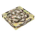 バックヤードの🧁 Acrylic Block :placed flat