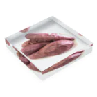 着る焼き芋屋さんの焼き芋(鑑賞用　かんしょ Acrylic Block :placed flat