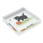 連弾兄弟のくつしたねこ Acrylic Block :placed flat