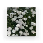 ~Nature~　自然からの贈り物のマーガレット　モリンバ Acrylic Block