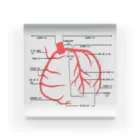 ゆんちるのとにかく冠動脈 Acrylic Block