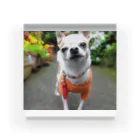 akane_art（茜音工房）のカラフルチワワ（フラワー） Acrylic Block