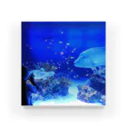 ☁️のガラス越しに Acrylic Block