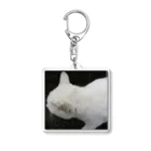 公式　猫目石検定　CHERRYSTONE　　の白猫 Acrylic Key Chain