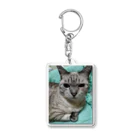 ねこの森でお散歩の微妙な顔をするかわいいシャムミックス Acrylic Key Chain