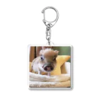 マイクロブタのフィグの星 Acrylic Key Chain