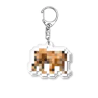 PITTEN PRODUCTSのPIXEL_ANIMAL_05(TIGER) Acrylic Key Chain
