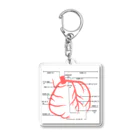 ゆんちるのとにかく冠動脈！ Acrylic Key Chain