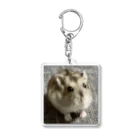 cozaoのたーさんグッズ Acrylic Key Chain