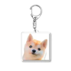 癒しの箱庭の柴犬の子犬 Acrylic Key Chain