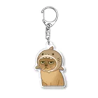 白菜ショップのサメ帽かぶった猫 Acrylic Key Chain