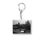 00 2024 2023 2022 WORLD TOP NEWS most famous person NFT ART Most Expensive Art 2022 FREE MOVIE FASHION APPAREL BRAND AI VR ONLINE DESIGN modern art ©Shnizellz official Shion.Inc エルシオン 現代アート オンライン通販ファッションブランド  2022 世界トップフォトグラファー world top photographerの00 2062 2025 WORLD TOP NEWS #非公開 #限定 #美女モデル #人気ユーチューバーランキング #好きな絵画ランキング #招待制ブランド #人気動画 #まとめ #通販 #ニュースランキング ©shion.co FREE MOVIE TV MOST FAMOUS MODEL ARTIST 21 ART BEST SELLER USA #مزاد #ranking #スズリ様専用 #売れ筋 #核シェルタ #fff #世界の全ての命の為に #روائعالعالم #©シュナイゼル Acrylic Key Chain